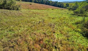 3850 Private Drive 3220, Ava, MO 65608