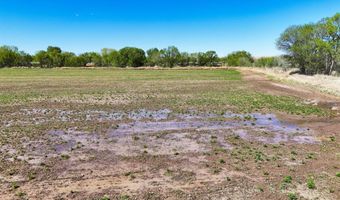 Charlene Lane, Belen, NM 87002