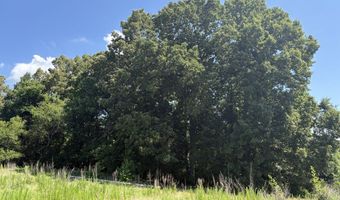 Beauty Hill Rd lot 2, Bethel Springs, TN 38315
