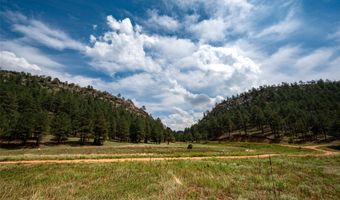 115 Blue Deer Ranch Road B-109, Buena Vista, NM 87712