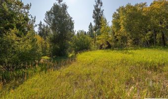 Lot 4 Potpourri Drive, Ashton, ID 83420