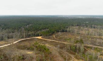 US Hwy 98, Beaumont, MS 39423