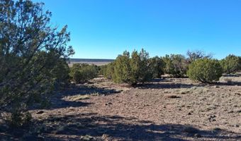 3 N 8716, Concho, AZ 85924