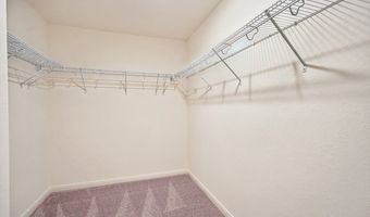 837 King Eider, Adkins, TX 78101