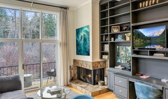 1050 Waters Ave 9, Aspen, CO 81611