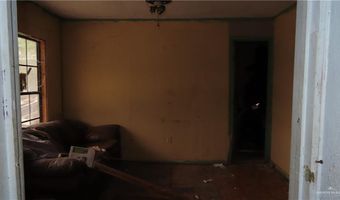 324 San Vicente Dr, Alamo, TX 78516