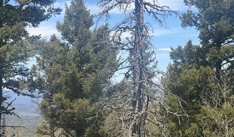 Lot 86 Elk Horn Drive, Angel Fire, NM 87710