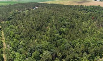 154 County Road 38 Acres, Banks, AL 36005