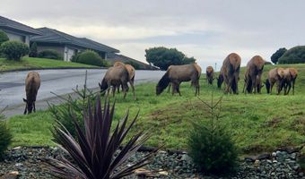 96503 RIDGEWAY St, Brookings, OR 97415