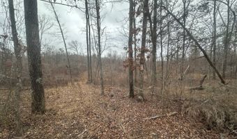 0 Glendale Rd, Adamsville, TN 38310