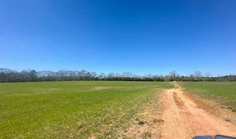 0 Tervin Mill Rd, Andalusia, AL 36421
