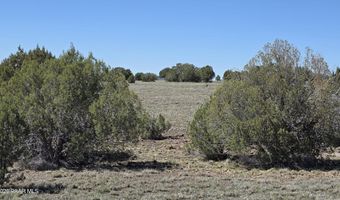 Ten Tanks Rd lot 6, Ash Fork, AZ 86320