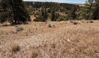 Weldon 23, Billings, MT 59101