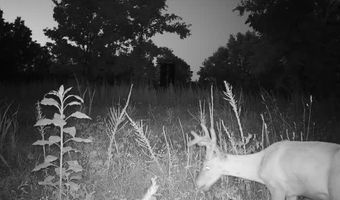 71 8 Klondike Rd, Anderson, MO 64831