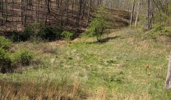 Hamilton Ridge, Alderson, WV 24910