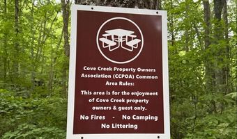 Tdb Cove Creek Rd, Bastian, VA 24314