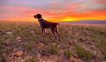 22 Broken Trl N 944-11, Belfry, MT 59008