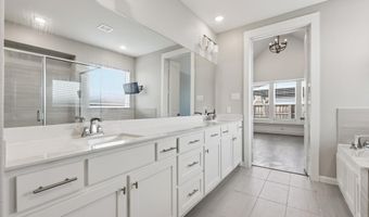 922 Leola Ln, Allen, TX 75013