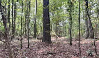 Brock Cir, Brandon, MS 39042