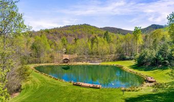1030 Chippawa Dr 68, Arden, NC 28704