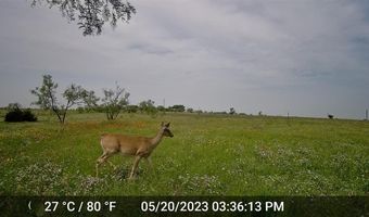 2245 CR 619, Pottsville, TX 76565