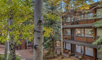 731 S Mill St 3A, Aspen, CO 81611