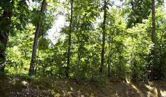 1131 LR 35, Ashdown, AR 71822