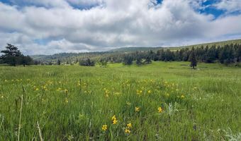 387 OLD CAMP Rd, Bellvue, CO 80512
