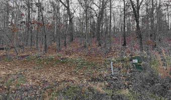 Tract 91 Vernon Court Road, Austin, AR 72007