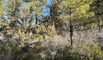 Hummingbird Dr, Bonanza, OR 97623