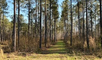 Highway 28, Abbeville, SC 29620