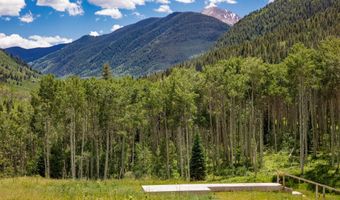 640 S Hayden Rd, Aspen, CO 81611