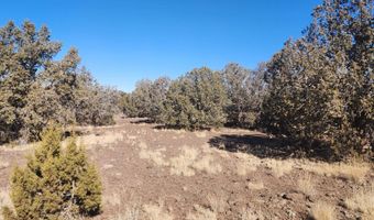 2113 W Skyline Dr, Ash Fork, AZ 86320