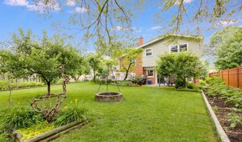 1145 S Chestnut Ave, Arlington Heights, IL 60005