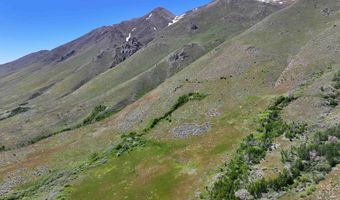 Secret Springs, Gerlach, NV 89412