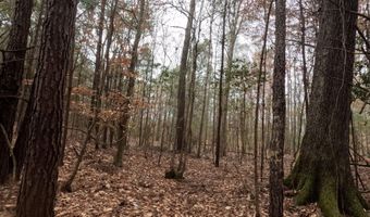 Christian Hts Road, Braxton, MS 39044