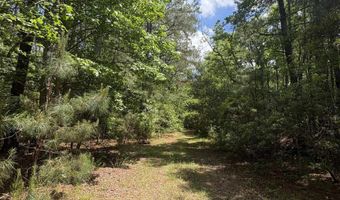 452 Tram Rd, Cades, SC 29518