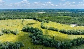 542 Lilla B Gaskins Rd, Alapaha, GA 31622