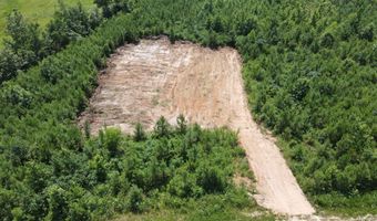 Tract 1 Tucker Road, Bath Springs, TN 38311