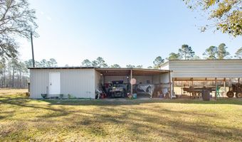 303 Dub Baxley, Baxley, GA 31513