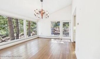 209 Larkspur Ln, Aspen, CO 81611