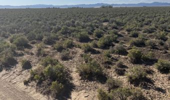 40 Acres E-1371-0000-0000, Beryl, UT 84714