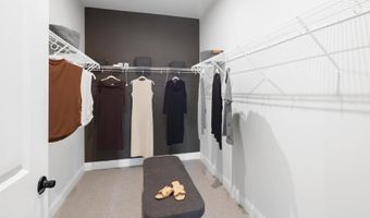 784 D Branch Ct Plan: BRANDYWINE II, Alexandria, KY 41001