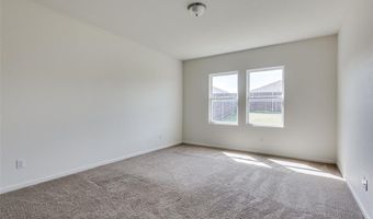 821 Cherry Blossom St, Anna, TX 75409