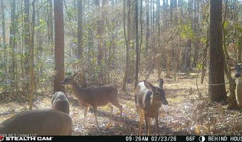 235 Woodrow Martin Rd, Brandon, MS 39042