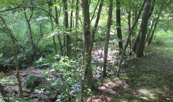 43 Sanctuary Ln, Alderson, WV 24910