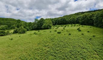 240 Dowie Rd, Andes, NY 13731