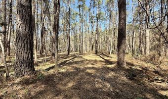 0 Lot 1 Creek Place Rd, Arapahoe, NC 28510
