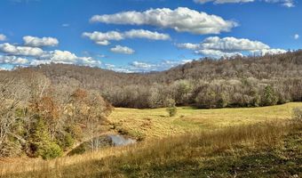 1520 Brittontown Rd, Afton, TN 37616