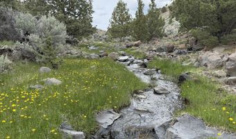 Wall Canyon Reservoir Road, Gerlach, NV 89412